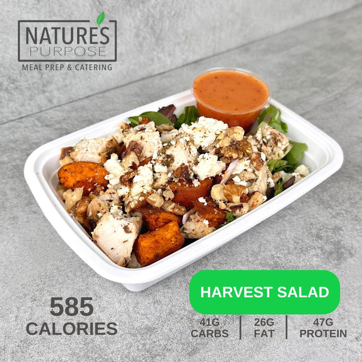 Harvest Salad - Natures Purpose Meal Prep